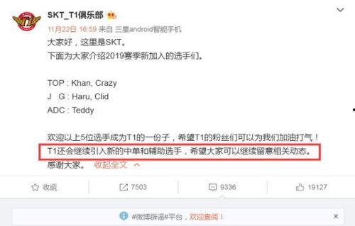 转会最新消息爆料,最新爆料揭示足坛转会市场新动态